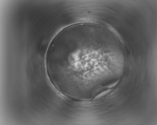 X0000069791291200605191029