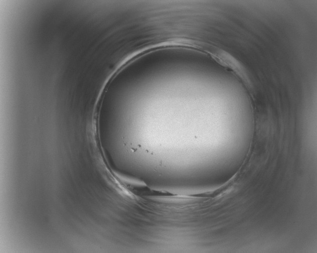 X0000069791292200605191029