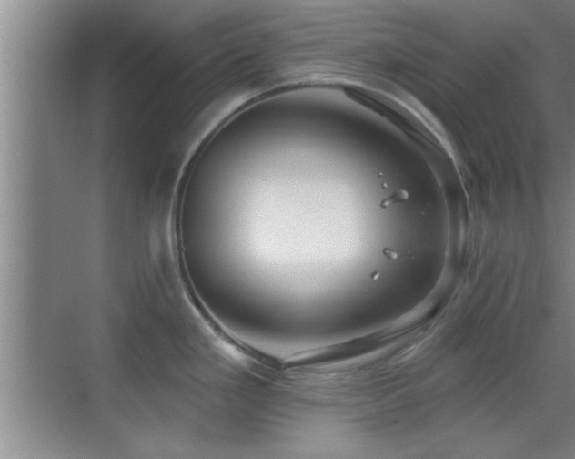 X0000069791293200605191029