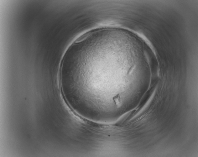 X0000069791295200605191028