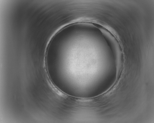 X0000069791296200605191028