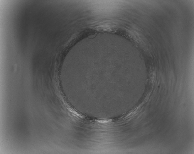 X0000069791297200605191028