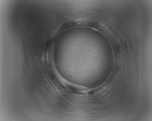 X0000069791298200605191028