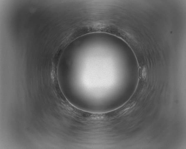 X0000069791299200605191028