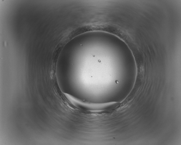 X0000069791300200605191028