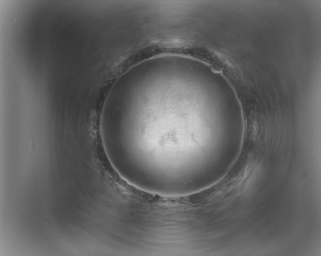 X0000069791301200605191028