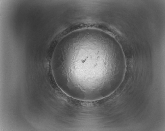 X0000069791302200605191028