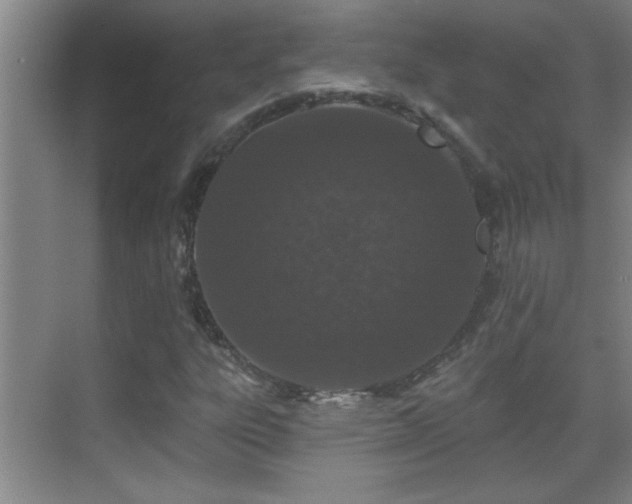 X0000069791303200605191028