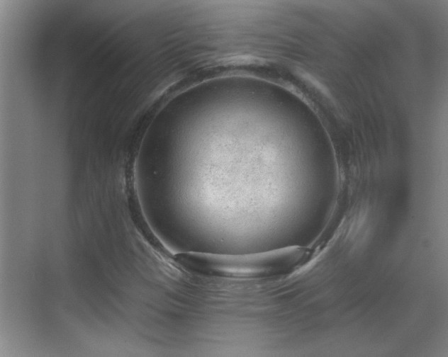 X0000069791305200605191028