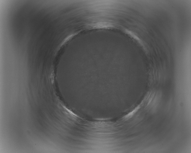 X0000069791306200605191028