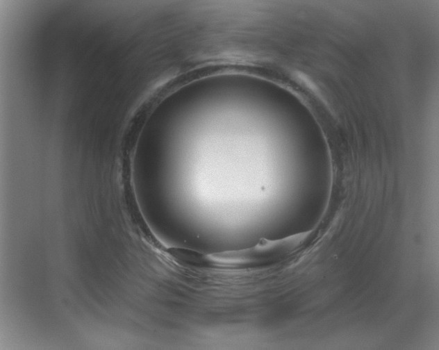 X0000069791307200605191028