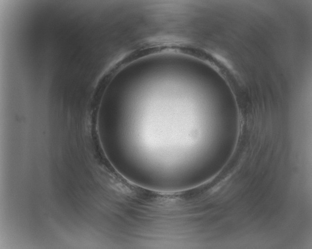 X0000069791309200605191028