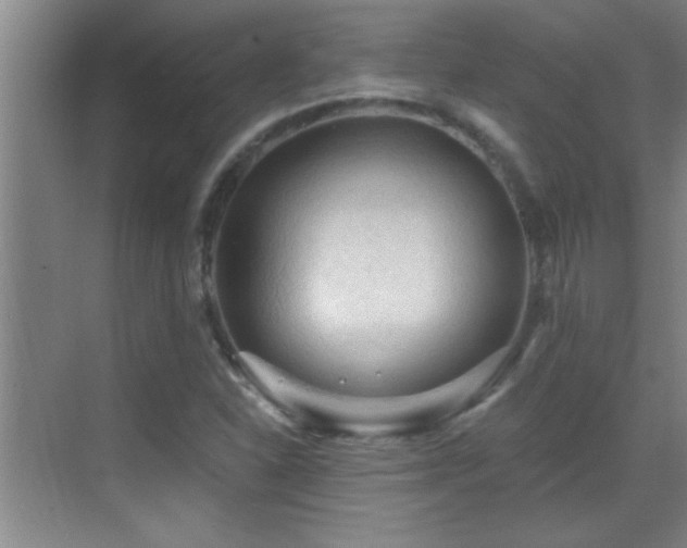 X0000069791310200605191028