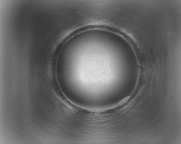 X0000069791311200605191028