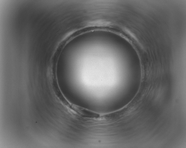 X0000069791315200605191028