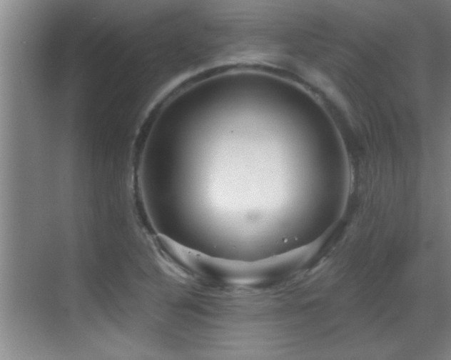 X0000069791316200605191028