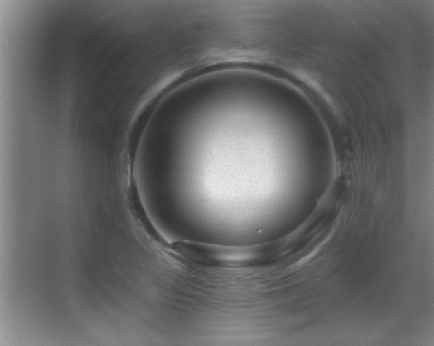 X0000069791317200605191028