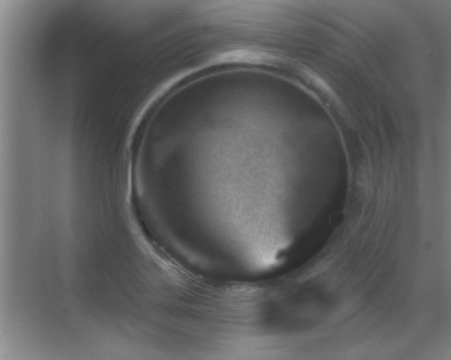 X0000069791323200605191028