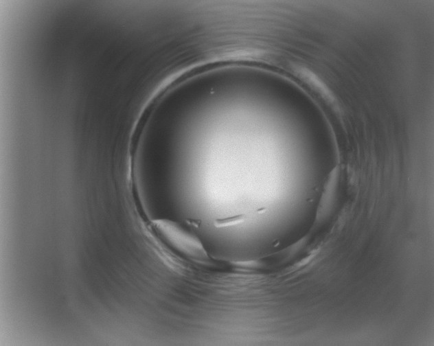 X0000069791324200605191028