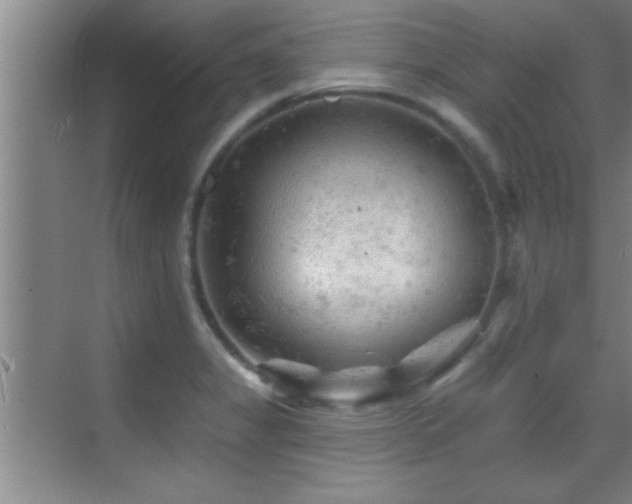 X0000069791325200605191028