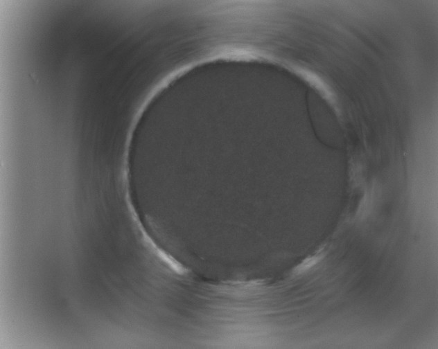 X0000069791327200605191028