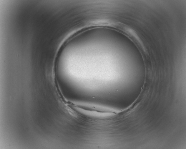 X0000069791328200605191028