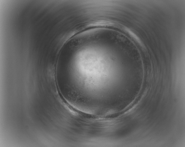 X0000069791329200605191028