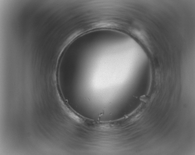 X0000069791330200605191028