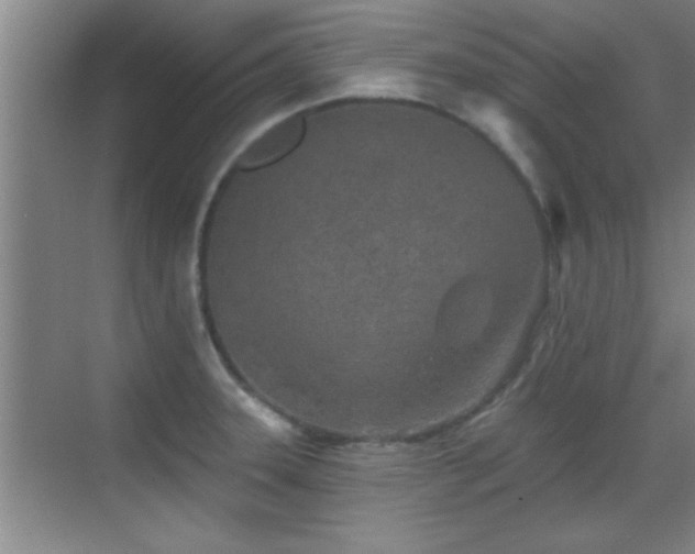 X0000069791331200605191028