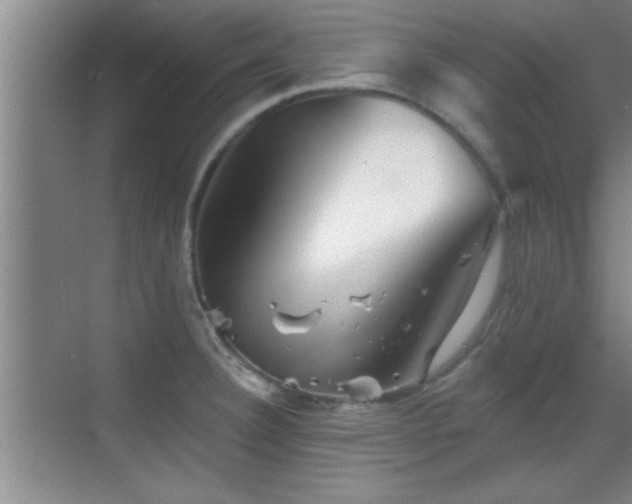 X0000069791332200605191028