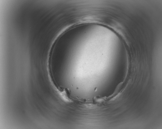 X0000069791333200605191028