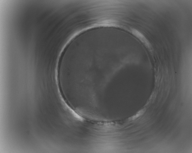 X0000069791334200605191028