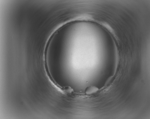 X0000069791335200605191028