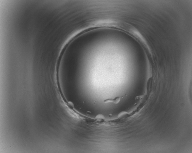 X0000069791336200605191028