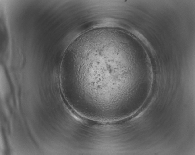 X0000069791337200605191028