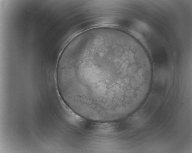 X0000069791338200605191028