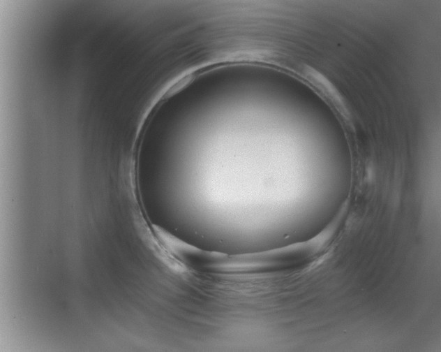 X0000069791340200605191028