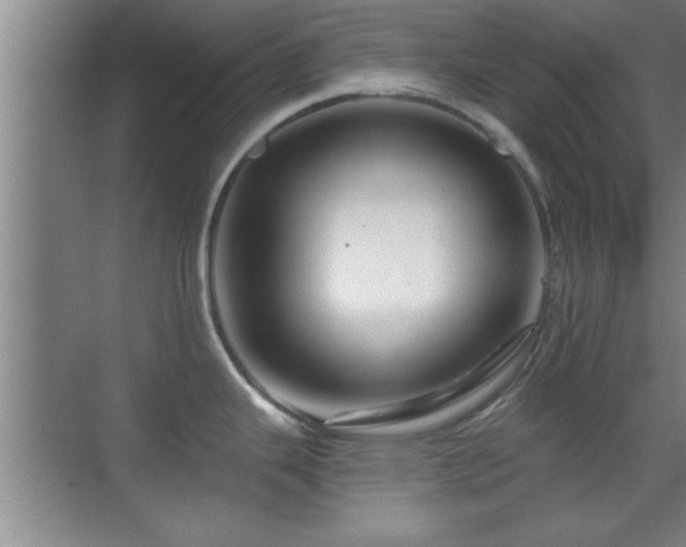 X0000069791343200605191028