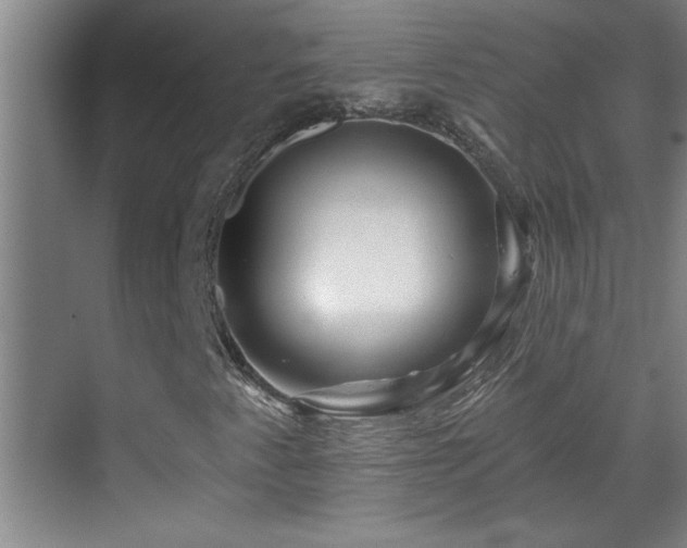 X0000069791345200605191028