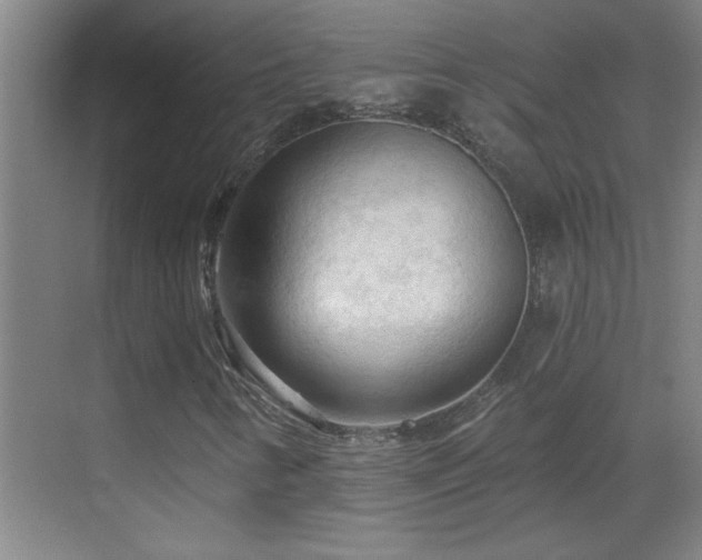 X0000069791346200605191028