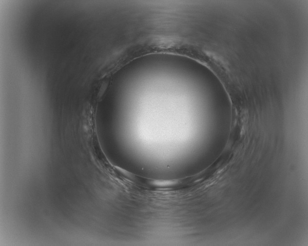 X0000069791349200605191028