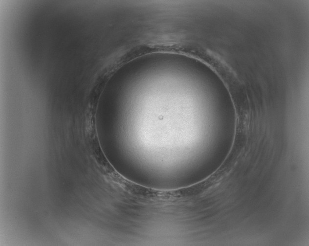 X0000069791350200605191028