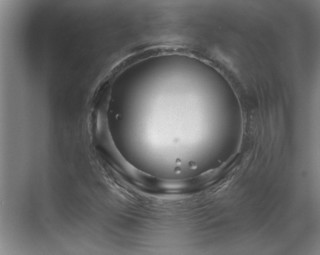 X0000069791352200605191028