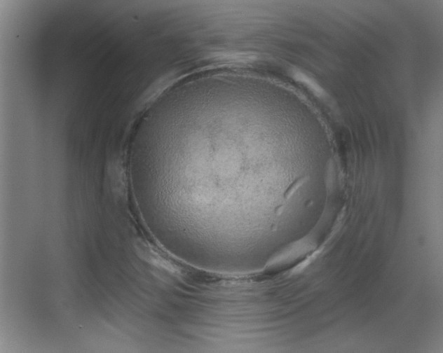 X0000069791354200605191027