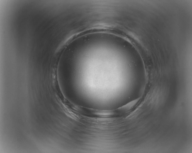 X0000069791355200605191027