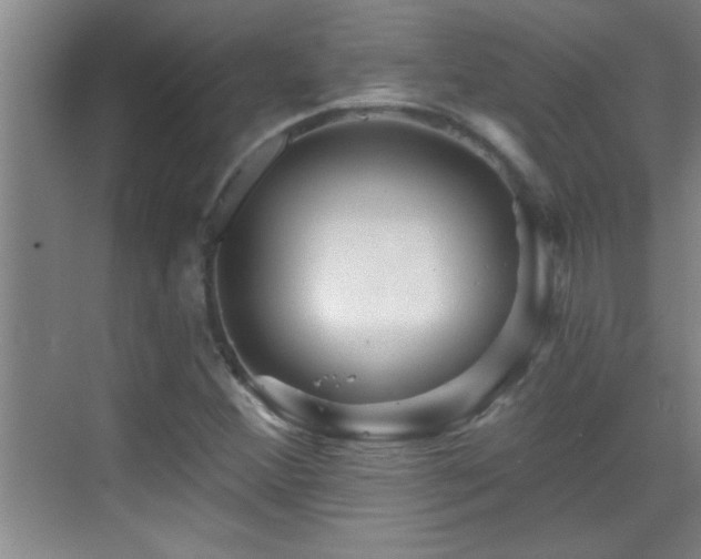 X0000069791356200605191027