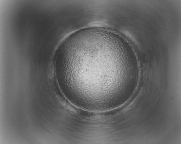 X0000069791358200605191027