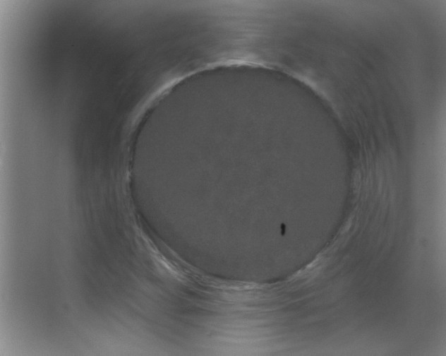 X0000069791359200605191027