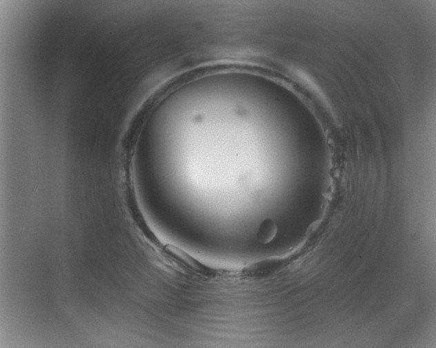 X0000069791360200605191027