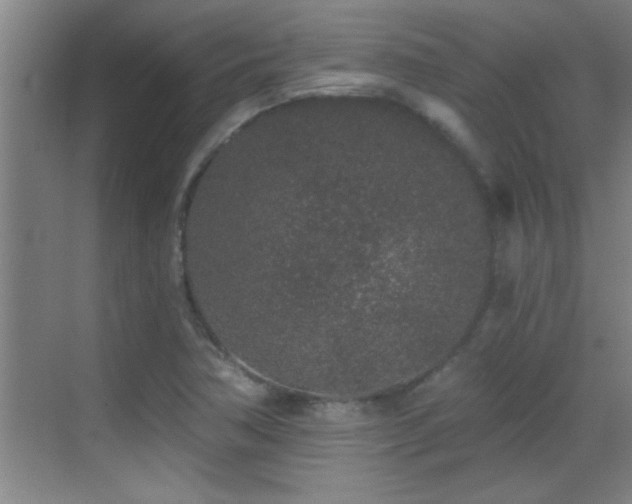 X0000069791362200605191027